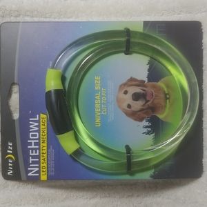 Dog. Led safety necklace neon green
